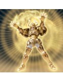 SAINT SEIYA EX Taureau OCE