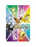 POKEMON - Evoli Evolutions - Poster roulé filmé (91.5x61)