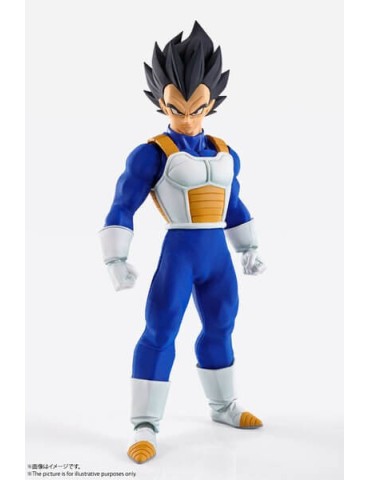 Dragon Ball Z Vegeta - Imagination Works
