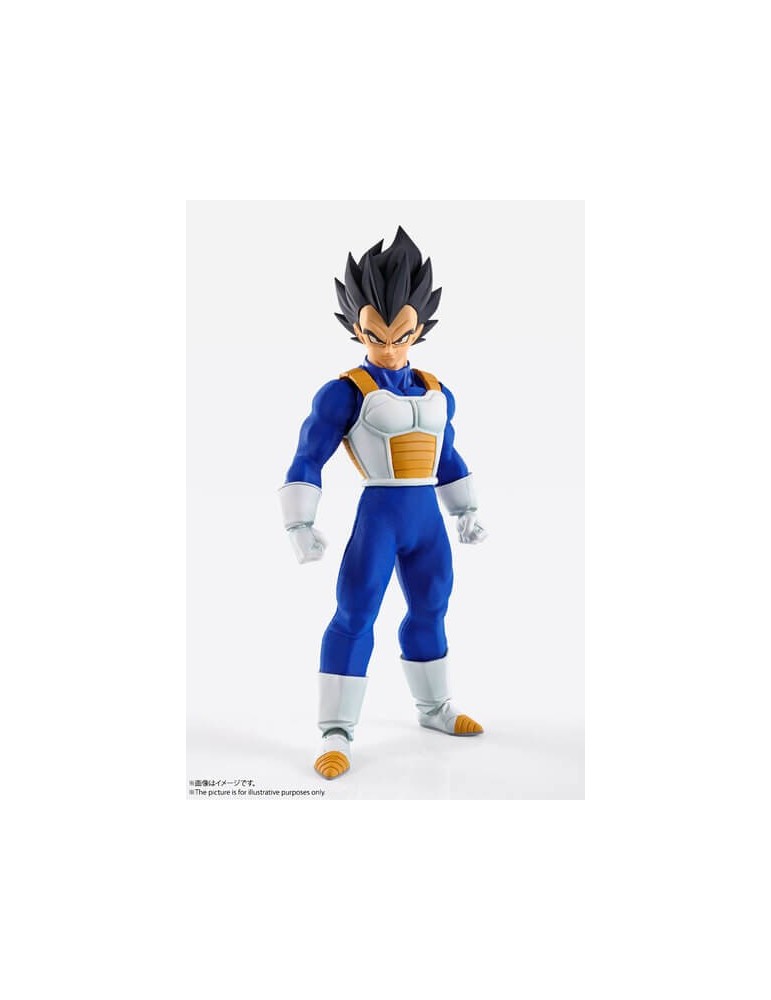 Dragon Ball Z Vegeta - Imagination Works
