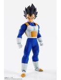 Dragon Ball Z Vegeta - Imagination Works