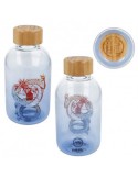 DRAGON BALL - Bouteille en Verre - Petit Format - 620 ML