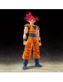 Dragon Ball Super / Super Saiyan God Son Goku Event Exclusive Color Edition