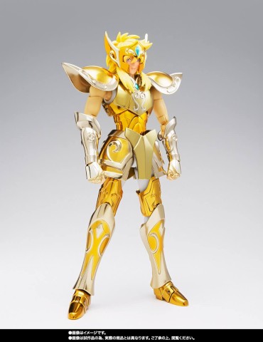 SAINT CLOTH MYTH EX AQUARIUS HYOGA