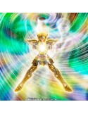 SAINT CLOTH MYTH EX AQUARIUS HYOGA