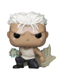 Fullmetal Alchemist Brotherhood - Funko Pop 1179 Scar