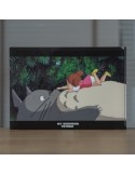 Studio Ghibli Chemise A4 Sur le ventre - Mon Voisin Totoro