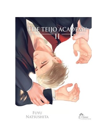 The Teijo Academy Tome 02