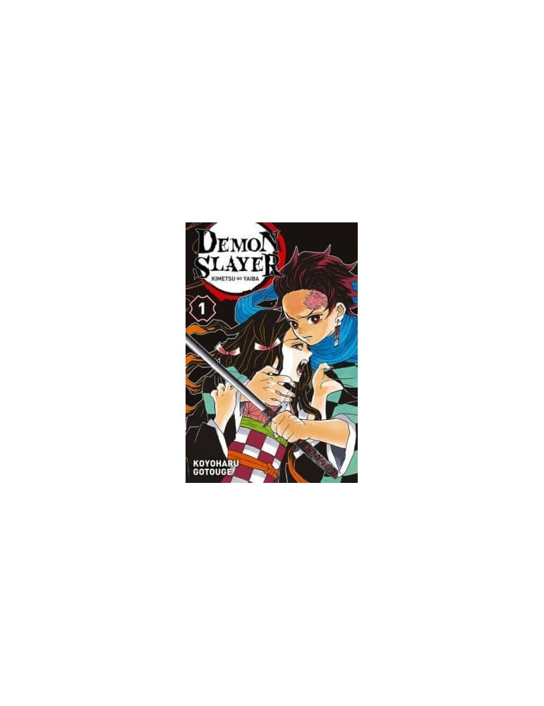 Demon Slayer Tome 01 à Tome 14