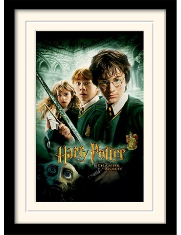 HARRY POTTER - Mouted & Framed 30X40 Print - Chamber of Secrets