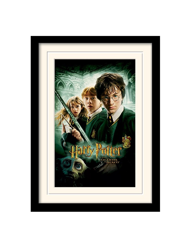 HARRY POTTER - Mouted & Framed 30X40 Print - Chamber of Secrets