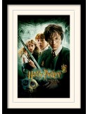 HARRY POTTER - Mouted & Framed 30X40 Print - Chamber of Secrets