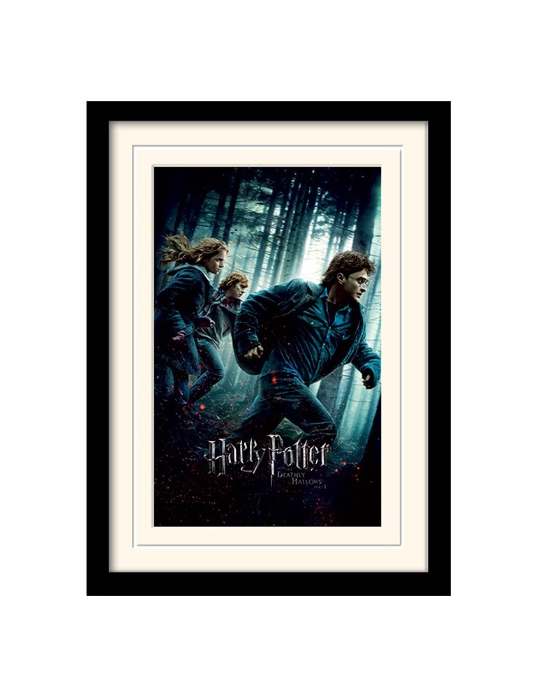 HARRY POTTER - Mounted & Framed 30X40 Print - Deathly Hallows Part 1