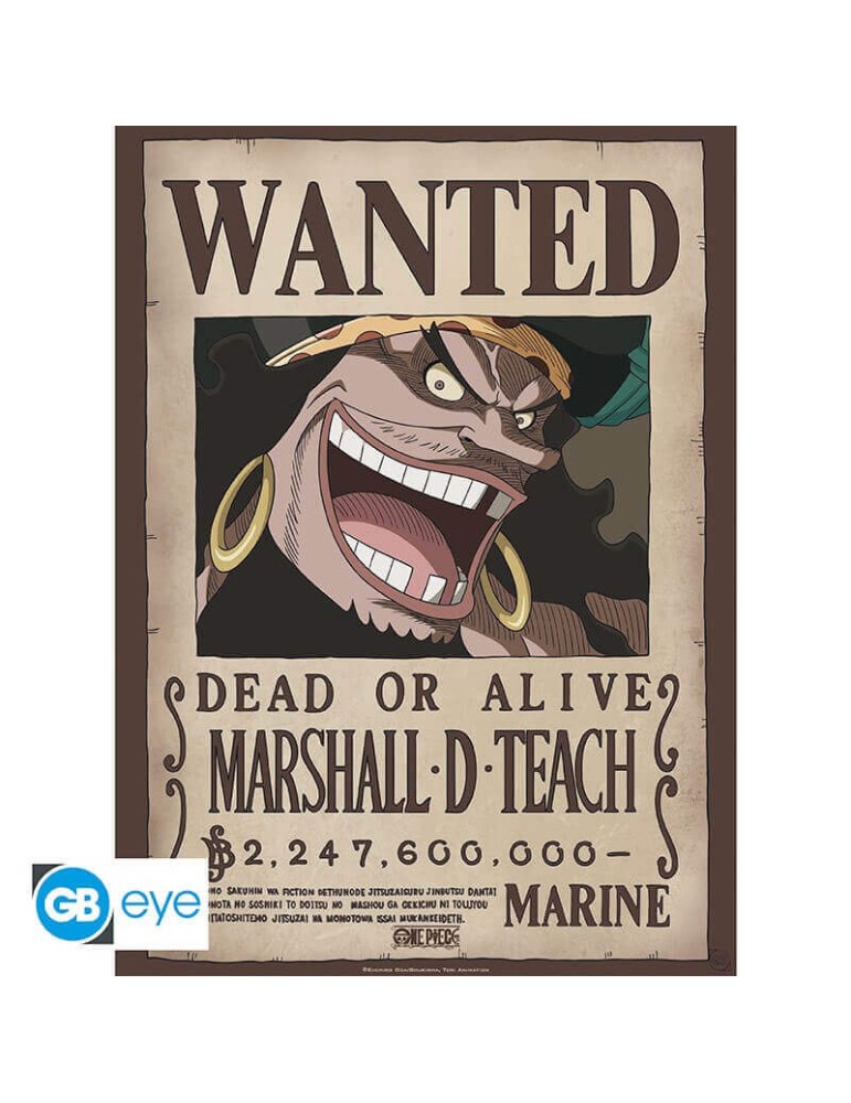 ONE PIECE - Poster Chibi 52x38 - Wanted Blackbeard