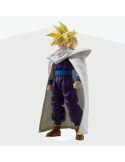 Dragon Ball Z - Figurine Super Saiyan Son Gohan ( The Warrior Who Surpassed Goku ) S.H.Figuarts
