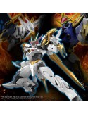 HG - amplified IMGN ryuoumaru