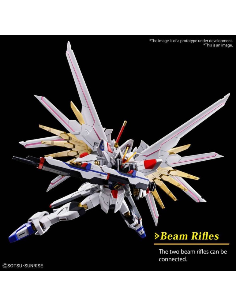 HG - Gundam mighty strike freedom ( 250 )