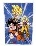 Dragon Ball couverture polaire Ver 1 :  100 x 150 cm