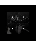BTS - WINGS - Vol 2 ( Version N )