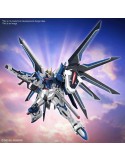 HG - Gundam Rising Freedom ( 243 )