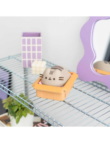 Pusheen tirelire