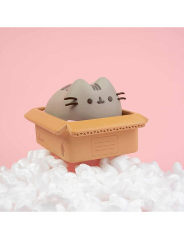Pusheen tirelire