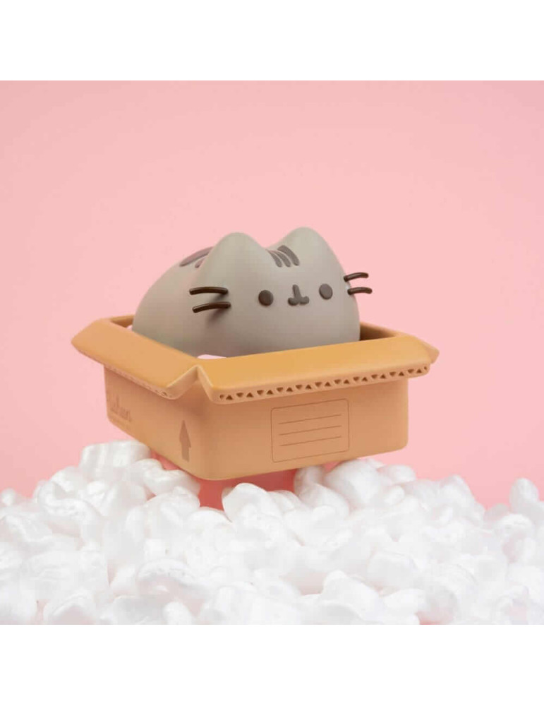 Pusheen tirelire