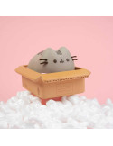 Pusheen tirelire